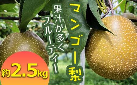 FKP9-652 [先行予約] マンゴー梨(王秋梨) 約2.5kg なし ナシ 和梨 和なし 和ナシ ブランド梨