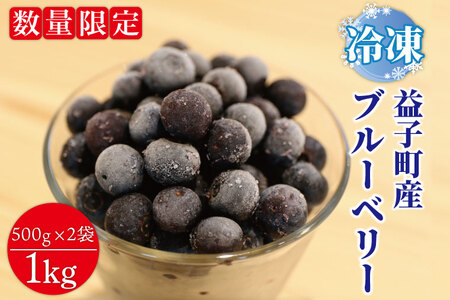 ＼数量限定/[先行予約]益子町産 冷凍ブルーベリー 1kg (500g×2袋) フルーツ 果物 (AA020-1)