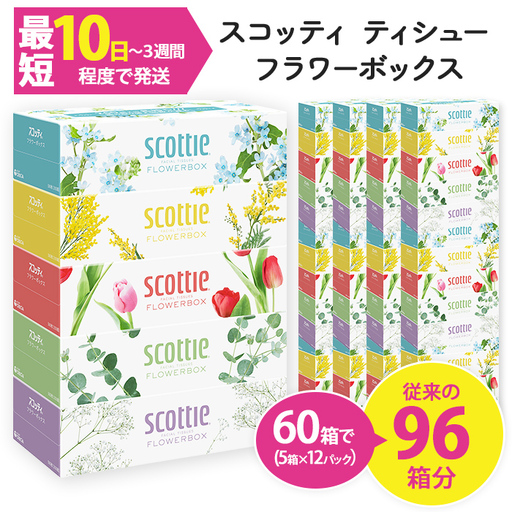 ティッシュペーパー スコッティ ティシューフラワーボックス 250組 × 60箱 ティッシュ 日用品