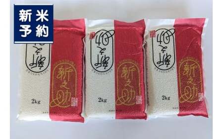 [新米受付・令和8年産米]新潟県村上市 新之助 6kg(2kg×3個)[鮮度直送!精米したてを真空パック]NA4220
