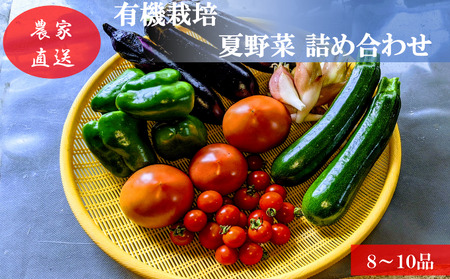 有機栽培 夏野菜 8〜10品 詰め合わせ 群馬県産 東吾妻 有機JAS 認証取得 野菜セット 旬の野菜 夏野菜セット 食材 国産 お楽しみ 食品セット 食卓