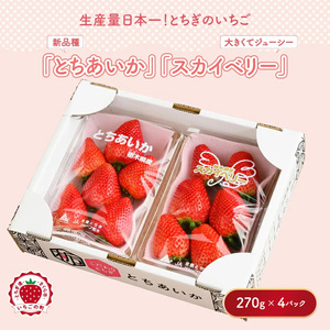 いちご とちあいか・スカイベリーセット 270g×4パック ※2027年1月～発送
