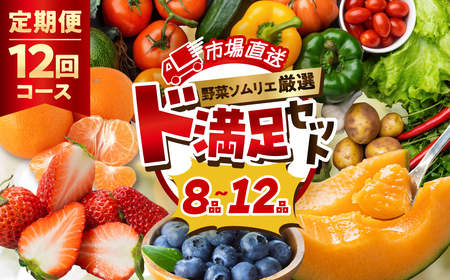 [定期便]旬の野菜・フルーツ詰め合わせ 8品〜12品 野菜 果物 フルーツ 定期便 野菜