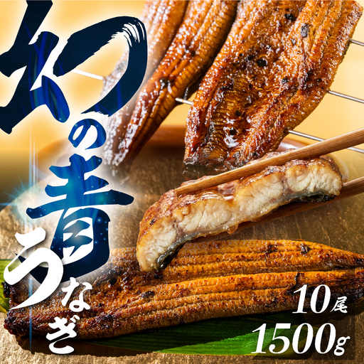 最高級 特上 幻の青うなぎ 10尾 うなぎ