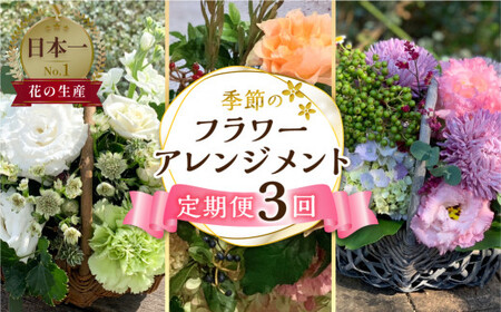 [定期便] 3回 季節のフラワーアレンジメント定期便 かご付 生花