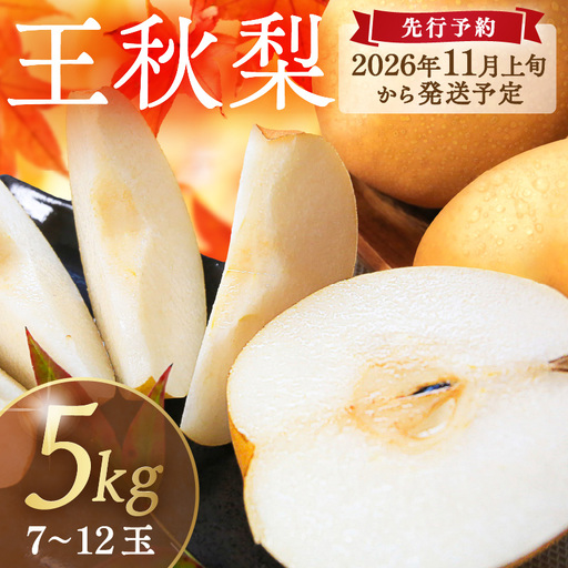 梨/王秋梨[先行予約/数量限定200]農家直送 秋の王様 「王秋」5kg(概ね7玉〜12玉)(2026年11月上旬〜発送)梨 なし ナシ 王秋梨 5キロ 予約 果物 くだもの フルーツ 期間限定 国産