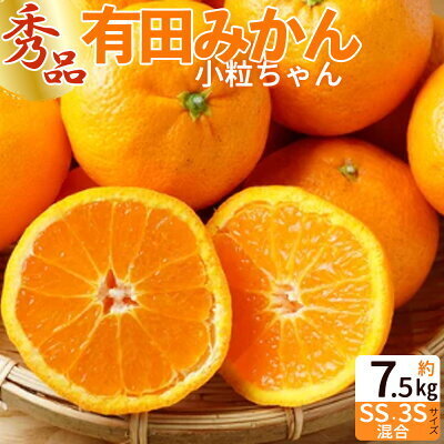 有田みかん 小粒ちゃん 約7.5kg_ZP6102n