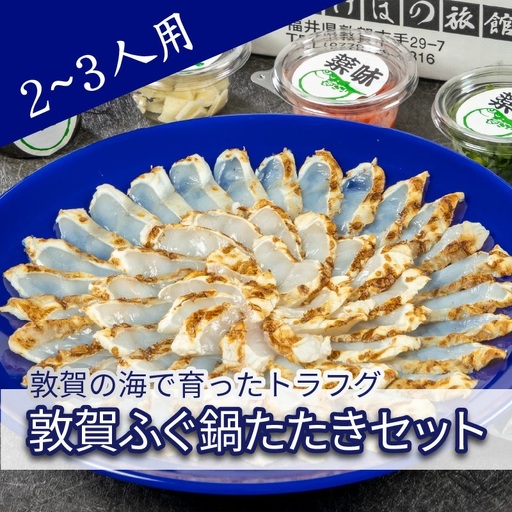 ＜先行予約＞【11月発送】フグ 敦賀ふぐ鍋たたきセット（2～3人用） 【ふぐのたたき 冷蔵 海鮮 鍋 なべ 河豚】