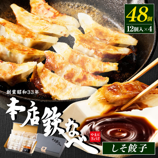 本店鉄なべ　冷凍しそぎょうざ48個入り【040-0004】