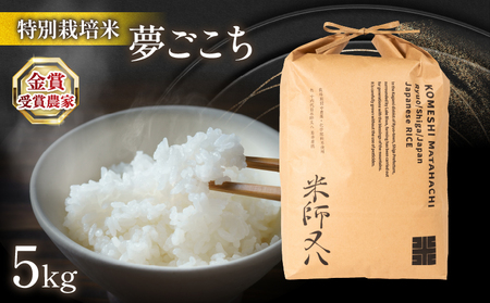 令和7年産 米 夢ごこち 5kg お米