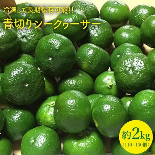 【先行予約】 シークワーサー 約2kg [CBN011] シークワーサー