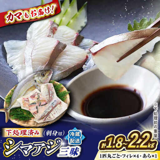 土日お届け シマアジ 堪能6点セットCBW012 アジ