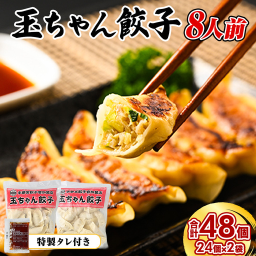 8-3 玉ちゃん餃子8人前(24個×2袋) ぎょうざ ギョーザ おつまみ おかず 惣菜 ※着日指定不可