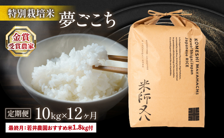 令和6年産 米 【定期便】  十六代目米師又八 謹製 夢ごこち 10kg×12ヶ月 若井農園おすすめ米1.8kg付  ( 米 夢ごこち 精米 夢ごこち 白米 夢ごこち 2024年産 夢ごこち  産地直送 夢ごこち 農家直送 夢ごこち 国産 夢ごこち 特別栽培米 夢ごこち 金賞農家 夢ごこち 滋賀県 竜王町)