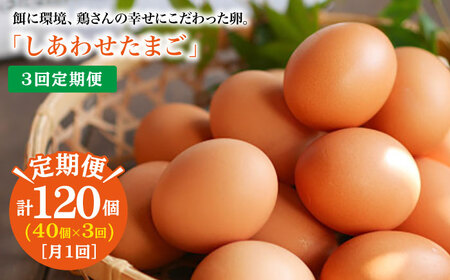 [3回定期便] 平飼い しあわせ たまご 40個[松本養鶏場] [CCD024] 卵