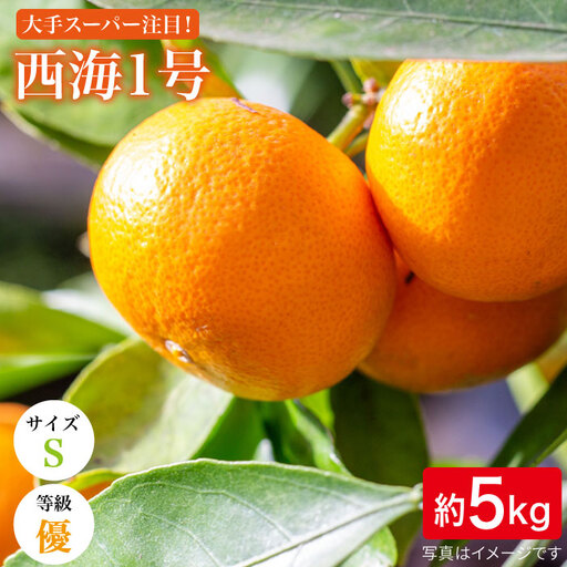 訳あり 西海1号 温州みかん 5kg 優品 Sサイズ みかん CCF004