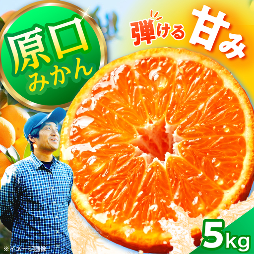 原口みかん 約5kg [CCZ004]  みかん