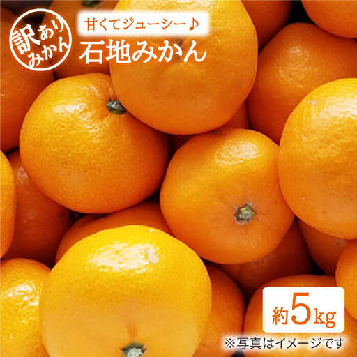みかん 西海【 訳あり 】 石地みかん 約5kg 西海市 贈答 ギフト 家庭用  ＜中尾果樹園＞ [CEL006]