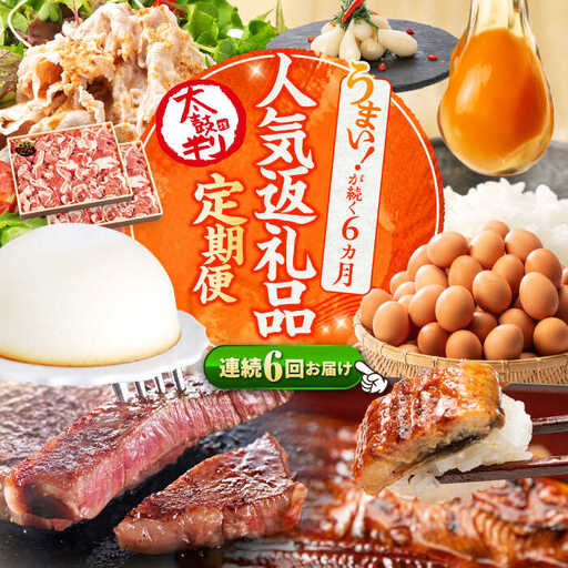 6回定期便 上位人気 西海の宝物定期便 | CZZ024 定期便