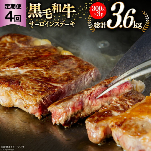4回 定期便 宮崎県産 黒毛和牛 サーロイン ステーキ 300g ×3×4ヶ月 合計3.6kg