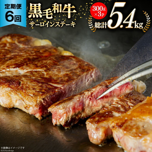 6回 定期便 宮崎県産 黒毛和牛 サーロイン ステーキ 300g ×3×6ヶ月 合計5.4kg