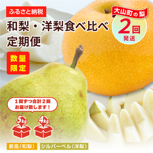 YN-06　和梨・洋梨　食べ比べ　定期便