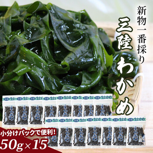 fn-39-011 一番採り三陸わかめ(塩蔵)小分けセット 50g×15 ヤマキイチ商店 海藻 三陸 健康