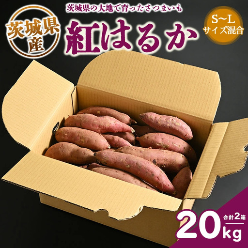 生芋　20kg　S～Lサイズ混合　2箱 いも長 ｜ さつまいも いも 生いも 紅はるか 国産 ※離島への配送不可 ※2025年12月下旬頃より順次発送予定