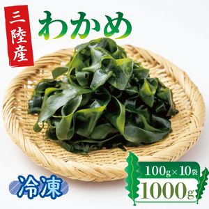塩蔵わかめ 1kg 100g×10袋