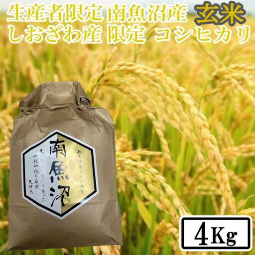 【令和8年　新米予約】【4kg】玄米 しおざわ産限定 生産者限定 南魚沼産コシヒカリ｜玄米【2026年10月上旬から1ヶ月以内に順次発送予定】