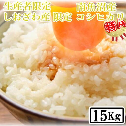 【令和7年産】【精米15kg】しおざわ産限定 生産者限定 南魚沼産コシヒカリ【銘柄米 ブランド米 精米 こしひかり コシヒカリ 魚沼産 新潟米 産地直送 お米 米 こめ コメ ご飯 御飯 ごはん】