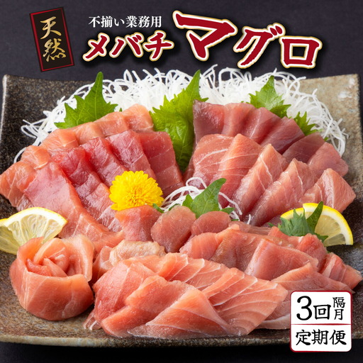 【定期便/計3回】天然メバチマグロ500g（柵）【まぐろ】tk026