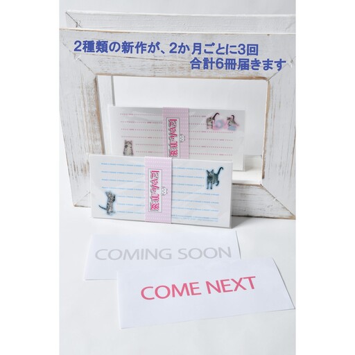猫写真の一筆箋「にゃん筆箋」隔月ごとに新作2種類が3回届くセット 0039-005-S05