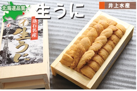 ムラサキウニ140g×2折 C-71001