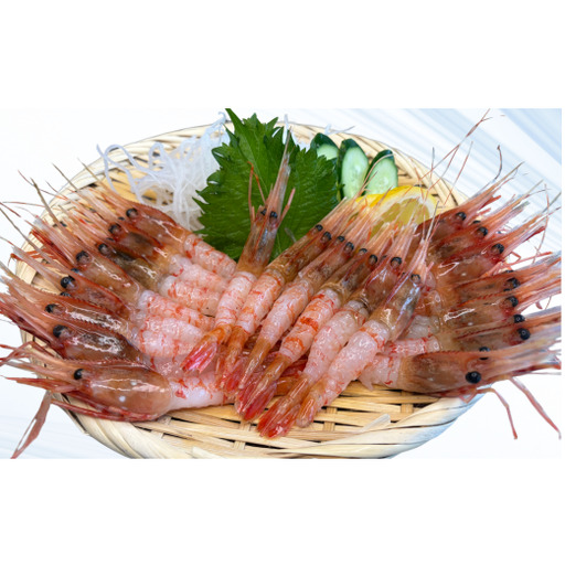 8-007-005 天然ボタンエビ 500g(35尾前後)
