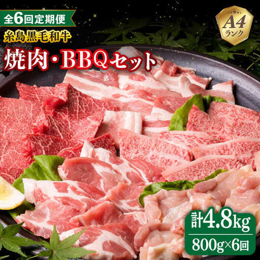 【全6回定期便】焼肉・バーベキュー セット 計800g 牛モモ 牛バラ 豚バラ 豚肩ロース 鶏もも肉  糸島市/糸島ミートデリ工房 [ACA273]