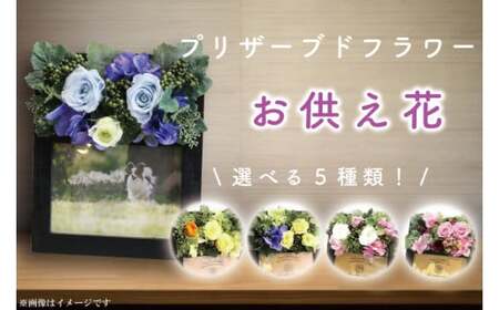DR-22プリザーブドフラワー 仏壇 仏花 [日時指定可能](DR-22)