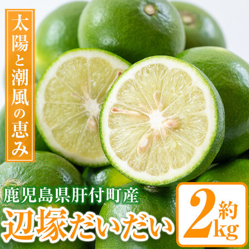 辺塚だいだい 青果 2kg 鹿児島 国産 橙 柑橘 果物 フルーツ【NPO法人 陸の宝島・岸良】P20001