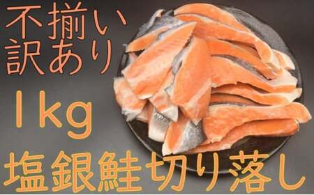 訳あり 鮭 塩銀鮭 切り身 1kg 不揃い （チリ産：切り落とし）500g×2パック mi0012-0093
