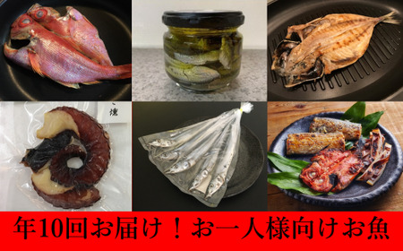 NEW！年10回お届け定期便！お一人様向けお魚 mi0022-0031