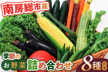 [南房総市産]季節のお野菜詰め合わせ mi0047-0001 野菜 セット 旬野菜 新鮮 そら豆 菜花 トマト きゅうり