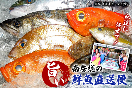 私達に任せてみませんか　南房総の旨い鮮魚直送便 mi0051-0004