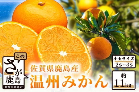 佐賀県鹿島産『温州みかん』小玉 約１１ｋｇ B-279