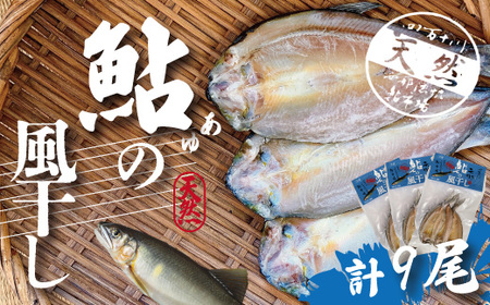 39210-020-0001．四万十川天然鮎の風干し（干物）3尾入×3パック（合計9尾）