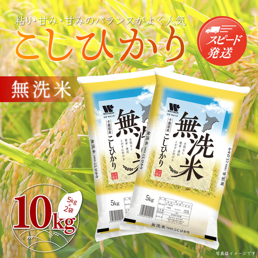 【最短2～7営業日出荷】令和7年産 千葉県産「無洗米コシヒカリ」10kg（5kg×2袋） A041