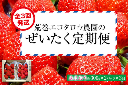荒巻エコタロウ農園のぜいたく定期便（あまおう約300g×3回）【2026年2月～3月】　BJ08