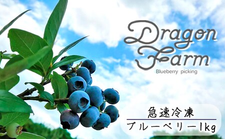 ブルーベリー 急速冷凍 果物 ブルーベリー【1kg】【冷凍】