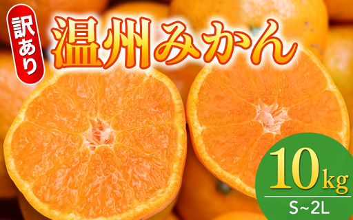  【先行予約】訳あり品 温州みかん 「おてんば娘」10kg(早生・中生・晩稲)【S～2Lサイズおまかせ】【2026年10月中旬～2027年2月下旬頃までに順次発送】＜味好農園＞/みかん 蜜柑 柑橘 温州みかん 訳あり 果物 フルーツ 【agy004-c-10】