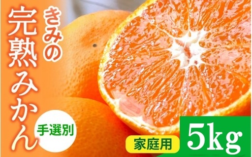  あま～い！ カツオの有機肥料が味の決め手！ 「きみの完熟ミカン」 5kg (40~60個程度) サイズ混合 2S~L ご家庭用(秀優混合) / みかん ミカン 柑橘 和歌山県 有機 手選別 【kmf004-c-5A】