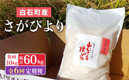 先行予約 6回定期便 令和8年産 さがびより（白米） 10kg / 白米 2026年11月～発送 [IAS017]